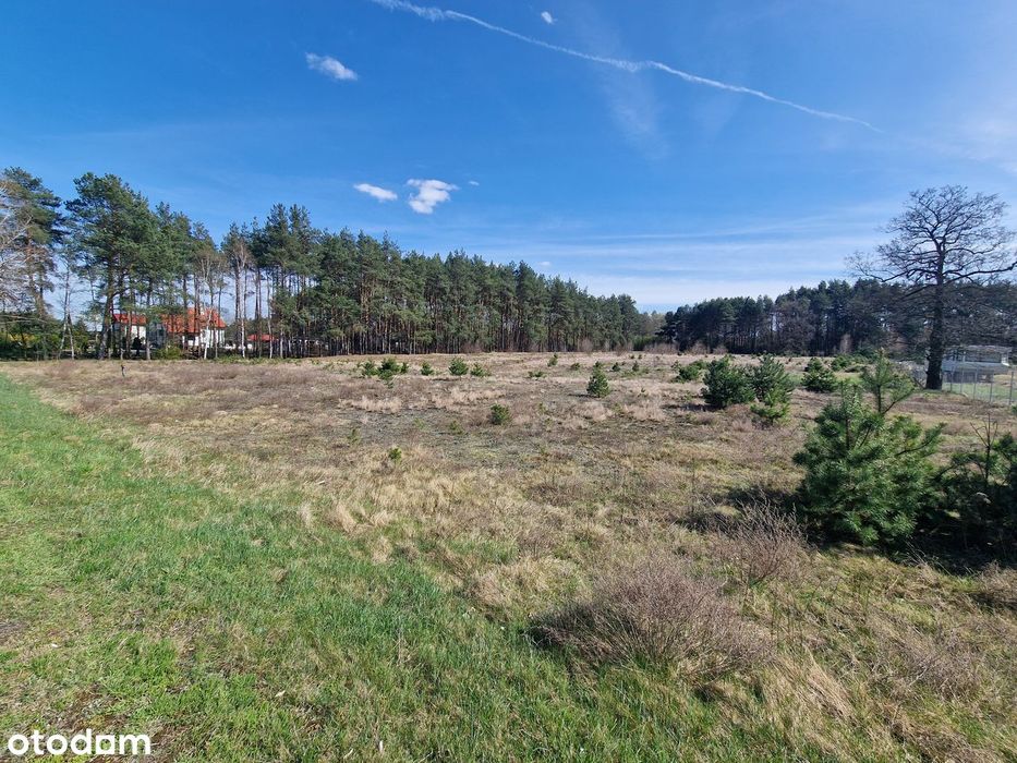 Ziemia rolna Wanaty/Lewików