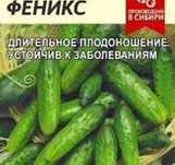 Огурцы Феникс семена огурчиков