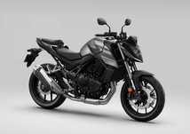Wypożyczalnia Honda Hornet 750 Wynajem Motocykli na kat. A A2 B (125)