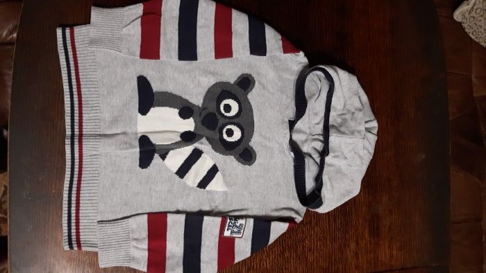 Sweter chłopięcy z lemurem