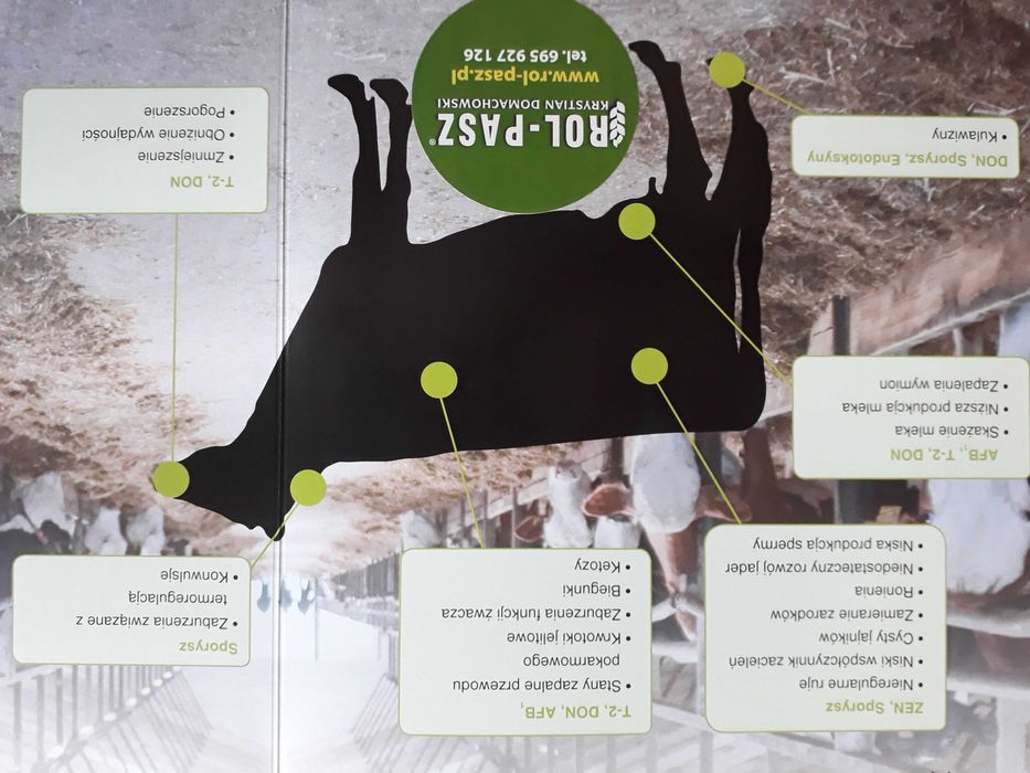 Mycofix Select 3E preparat na mykotoksyny mikotoksyny w paszach 25kg