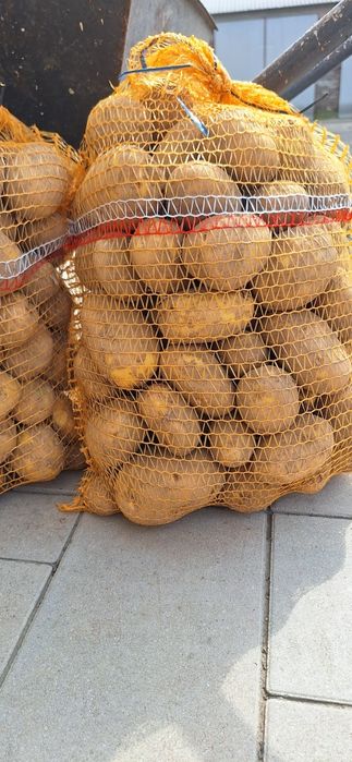 Sprzedam ziemniaki 6zł za 15 kg