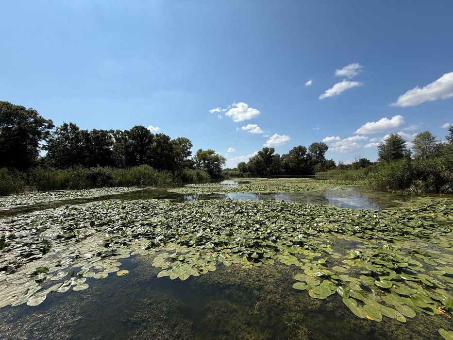 Продам участок ул. Прибрежная (пгт Обуховка)