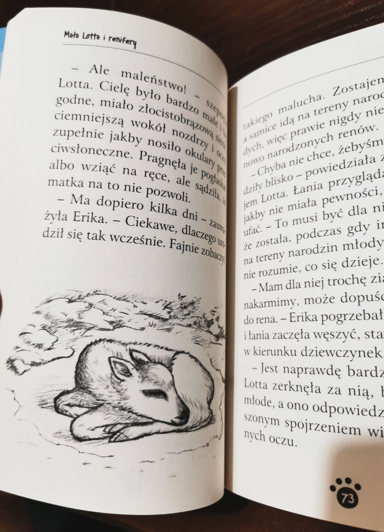 Mała Lotta i renifery Holly Webb seria zaopiekuj się mną książka