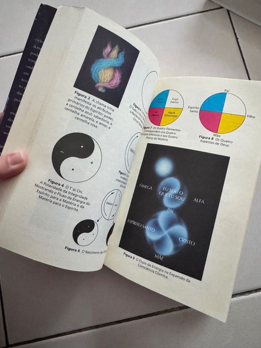 Livro Preveja Seu Futuro