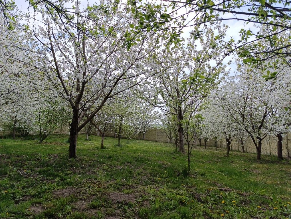 Продається будинок за Луцьким кільцем