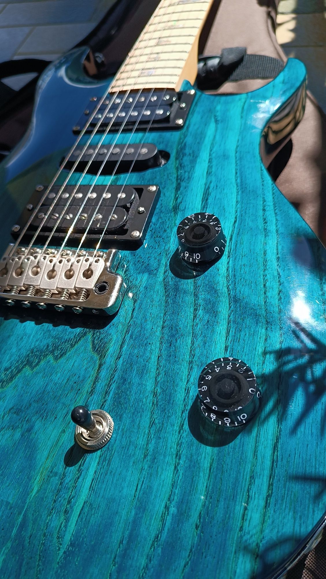 Prs se swamp Ash special IB