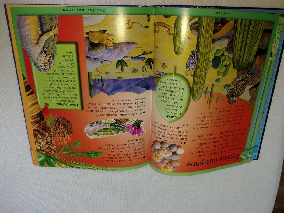 Wszystko co warto wiedzieć. Encyklopedia dla dociekliwych.