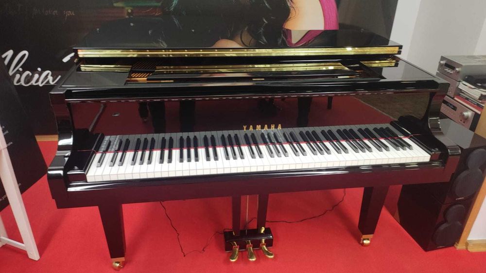 Piano de Cauda Silent