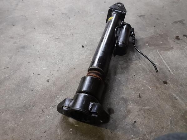 Amortecedor trás esquerdo MERCEDES-BENZ Classe R (W251, V251)