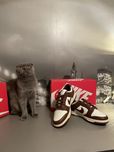 Nike Dunk Low Cocoa Wow / Sail r.41