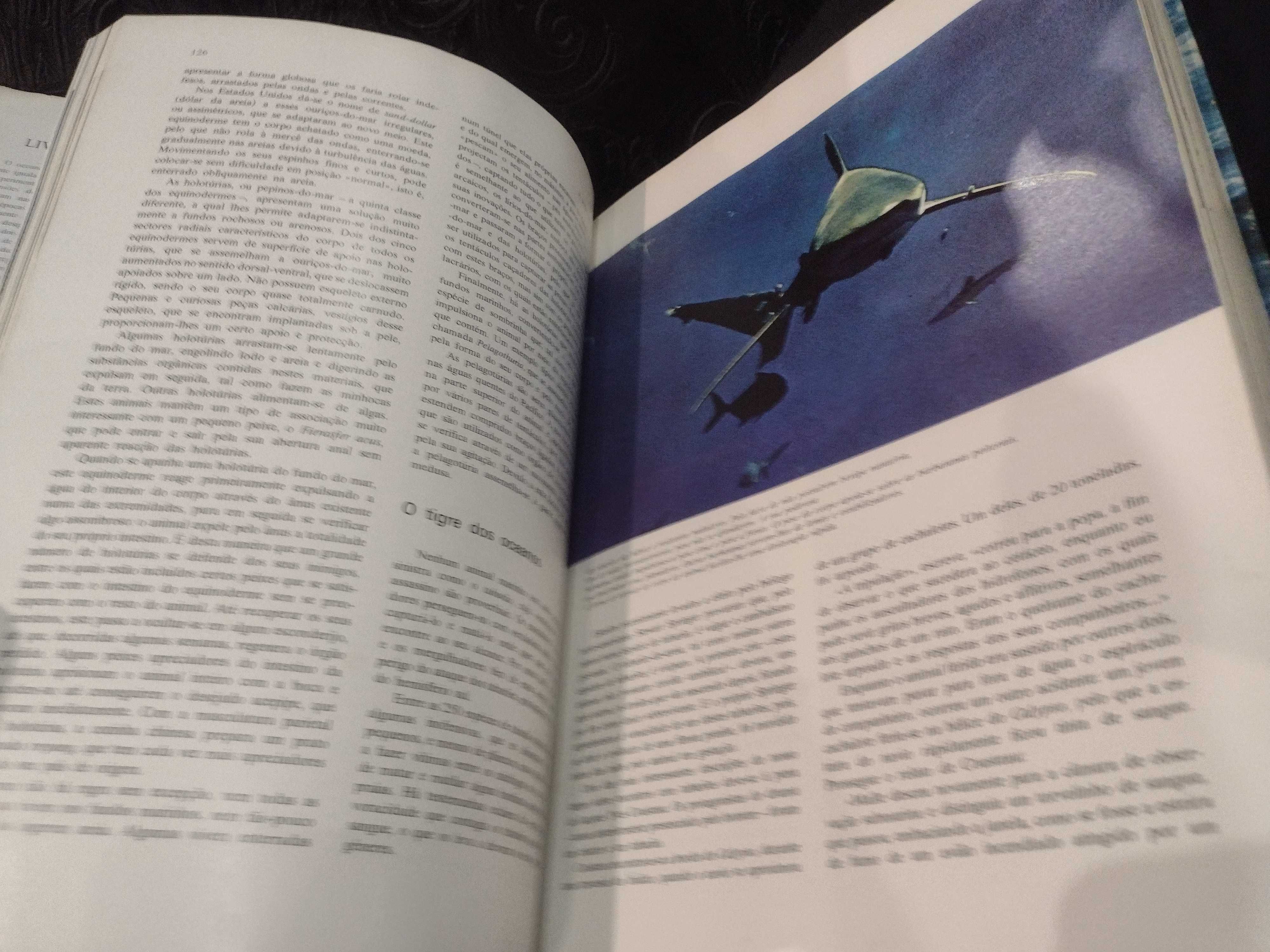 O Grande Livro dos Oceanos