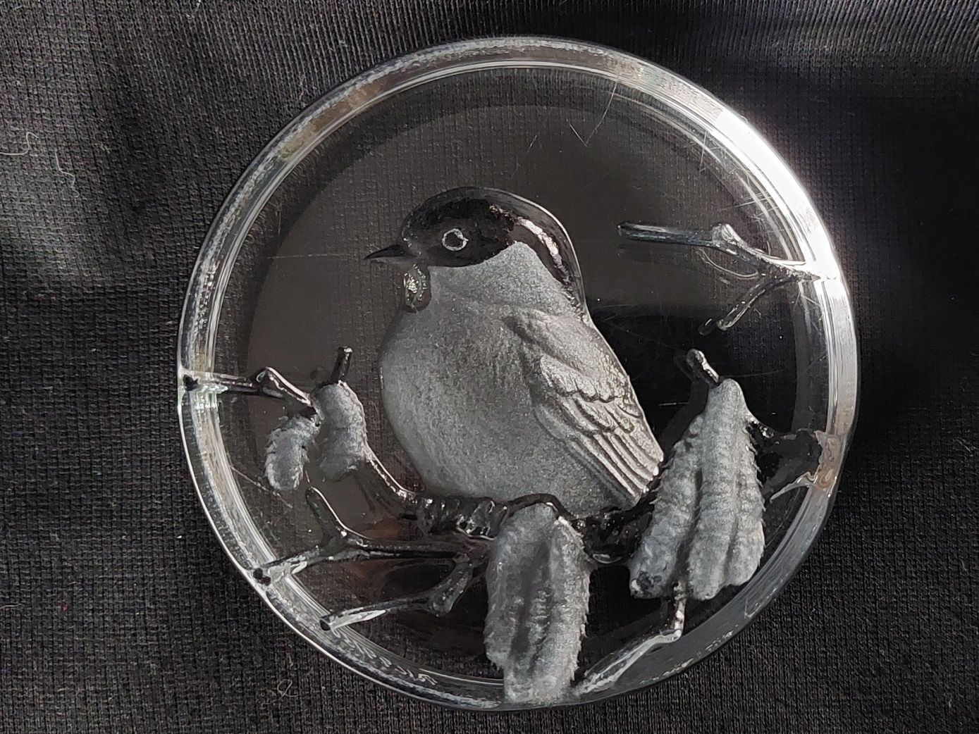Ptaszek Mats Jonasson szklany przycisk