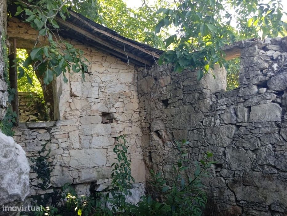 Terreno de 745m2 com Ruína em Pedra para Recuperar – Serra de Sicó, Co