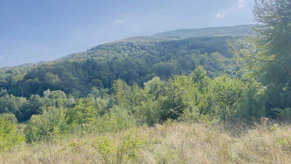 Продаж земельної ділянки в Карпатах, Косівщина