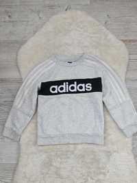 Bluza Adidas Rozmiar 110 - 116 na Wiek 5 a 6 lat Szara Oryginalna