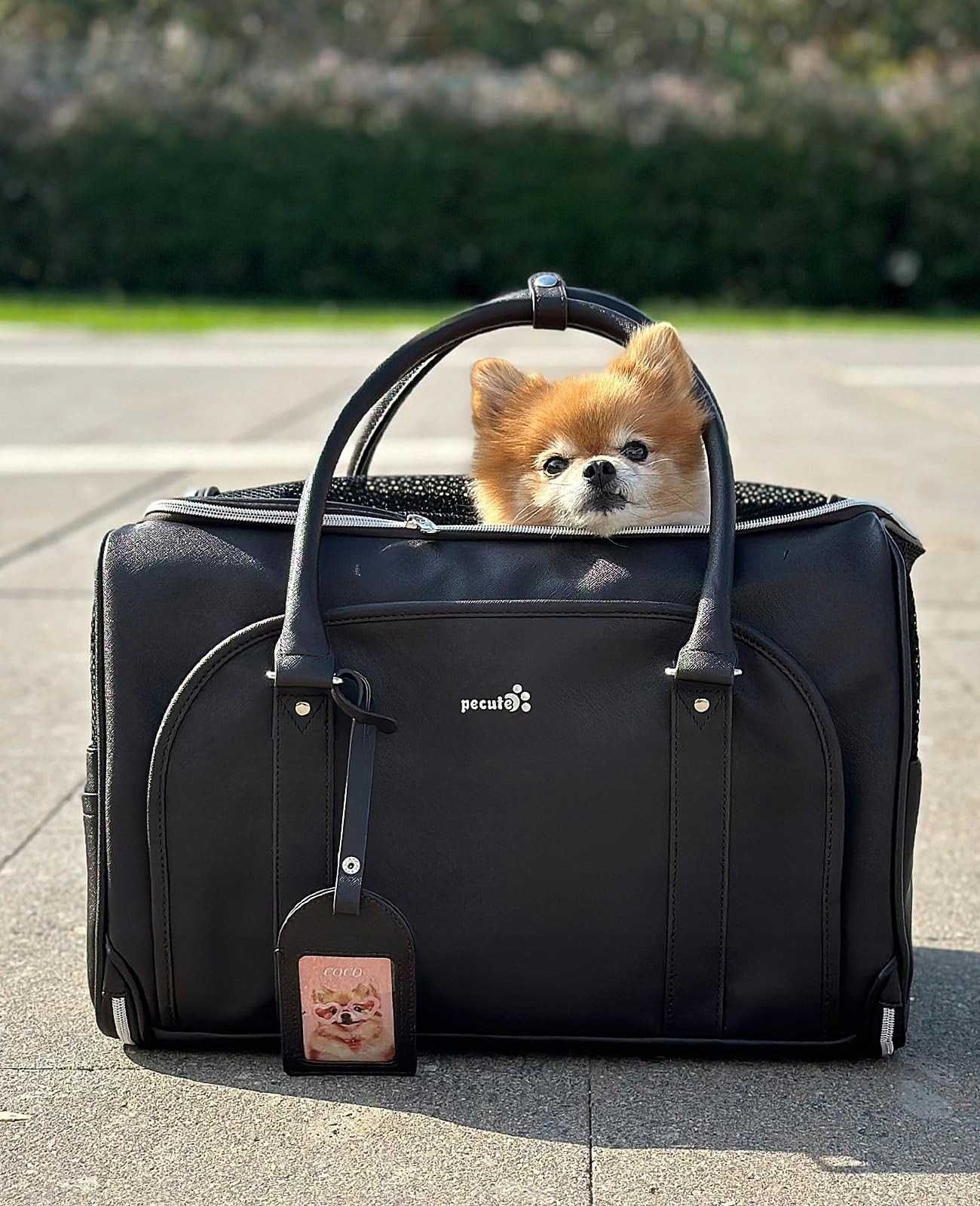 Torba transportowa Pecute dla zwierząt domowych, granatowa 43x31x29cm