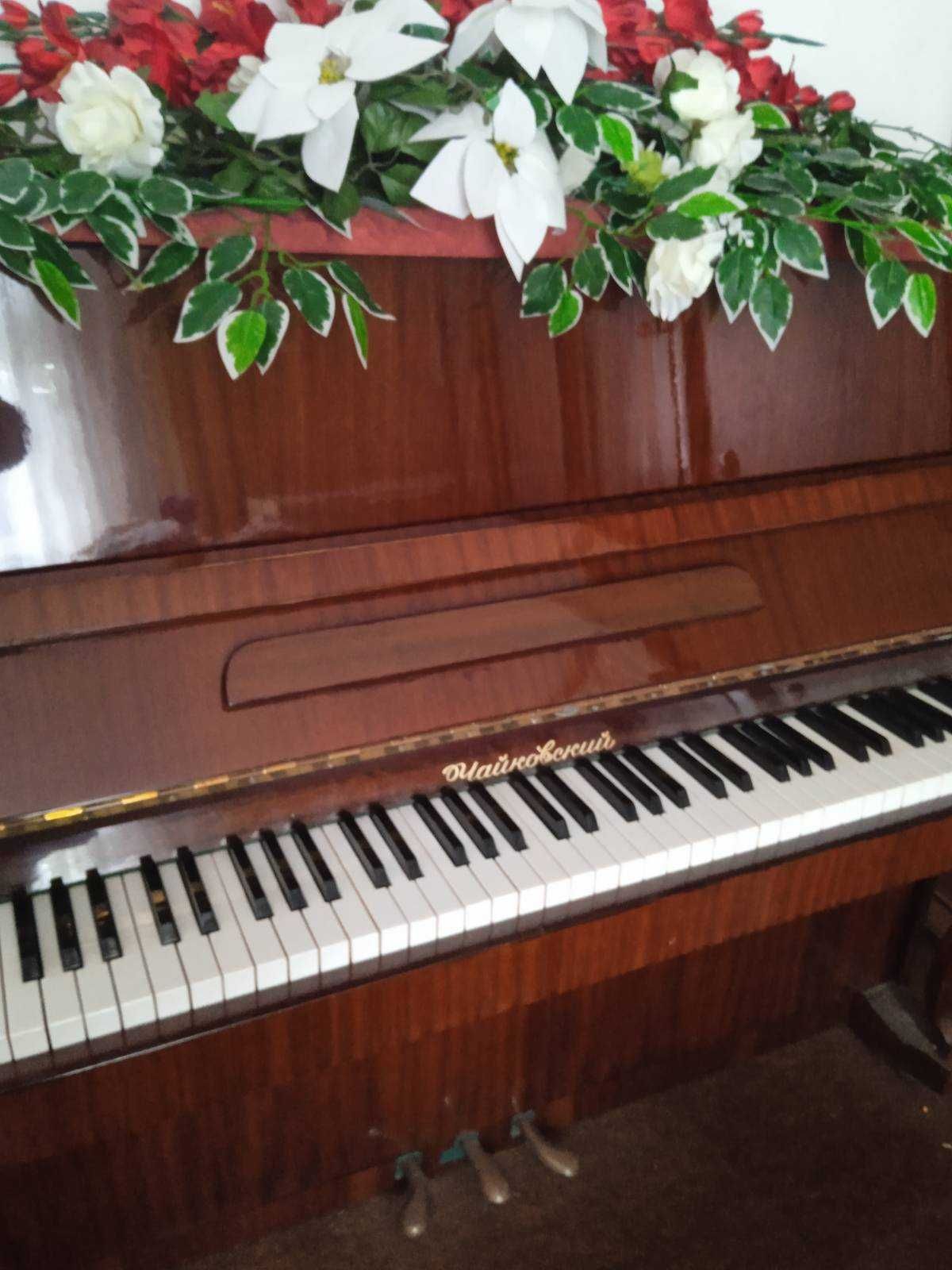 Pianino Czajkowski