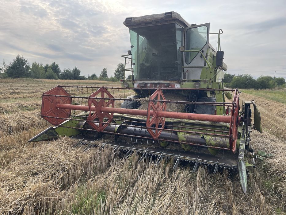 Kombajn Class dominator 86/96 od rolnika