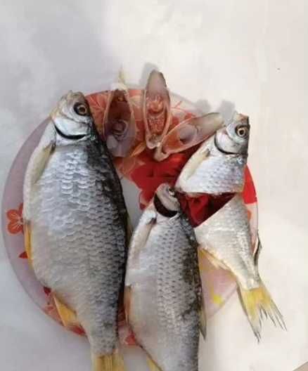 ТАРАНЬ З ІКРОЮ 100% відбірна малосольна сушена рибка