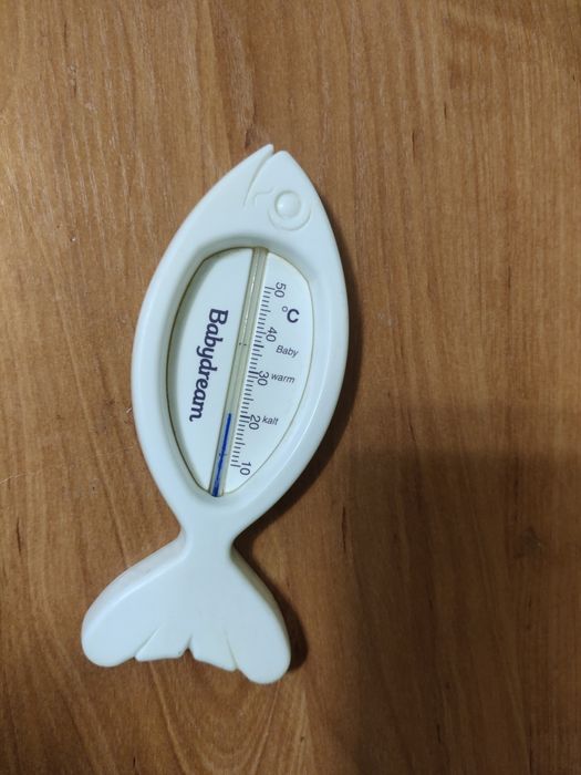 Термометр для води