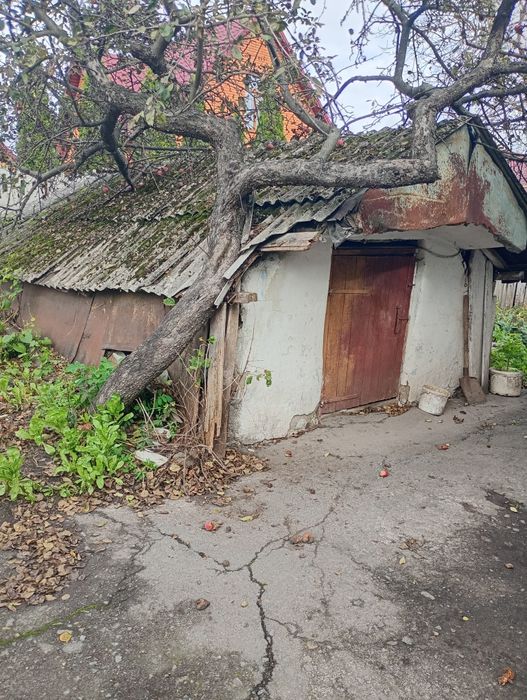 Будинок з присадибною ділянкою