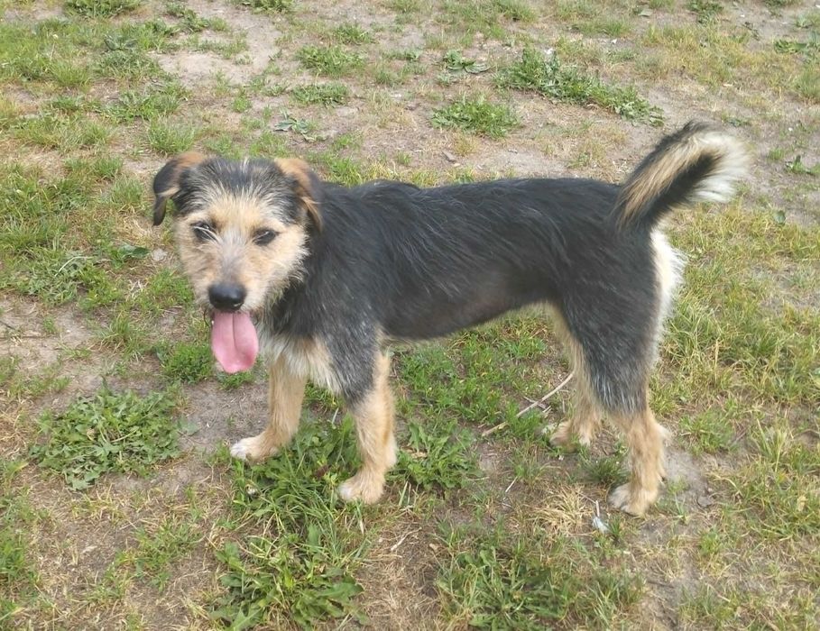 Młodziutka Mela - wulkan energii