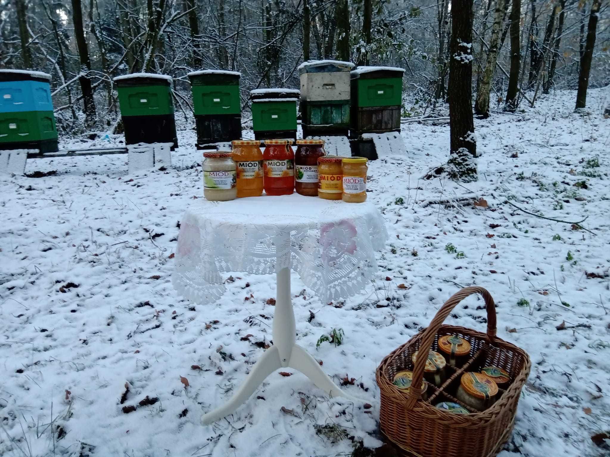 Naturalny miód z polskiej pasieki, pyłek kwiatowy