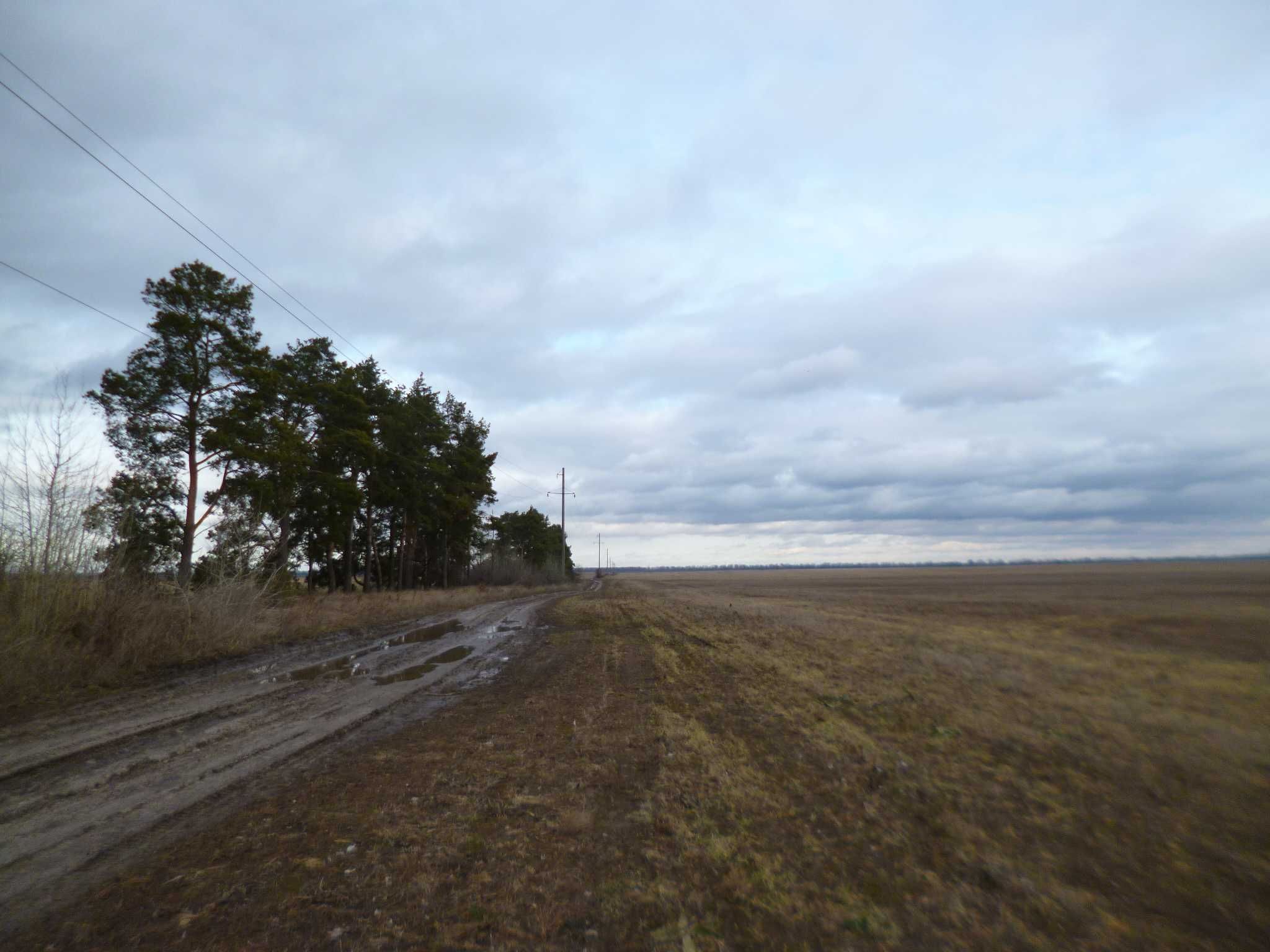 Земельна ділянка під сільгоспвиробництво 2 га, м. Воронківка