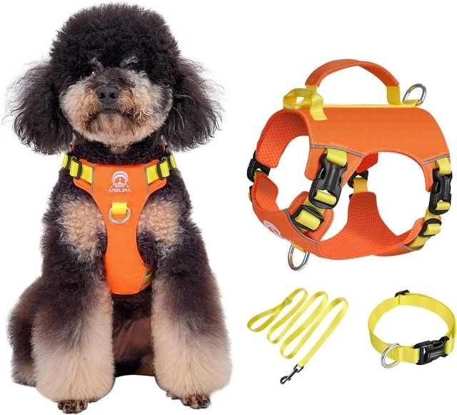 Zestaw szelek Arblina dla małego psa – lekki i wygodny XS