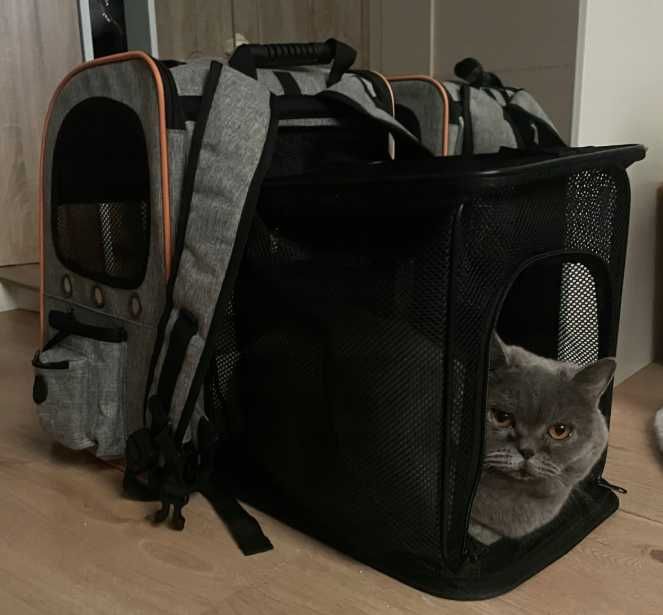 Transporter plecak rozkładany dla psa kota królika kojec składany