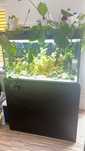 Akwarium 400l cały zestaw