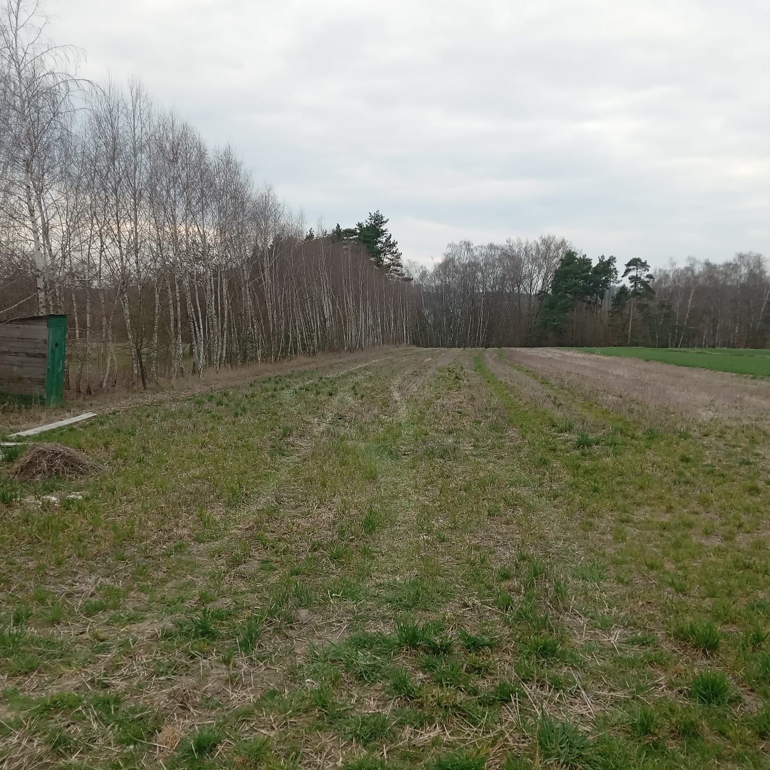 Działka 45a z projektem domu