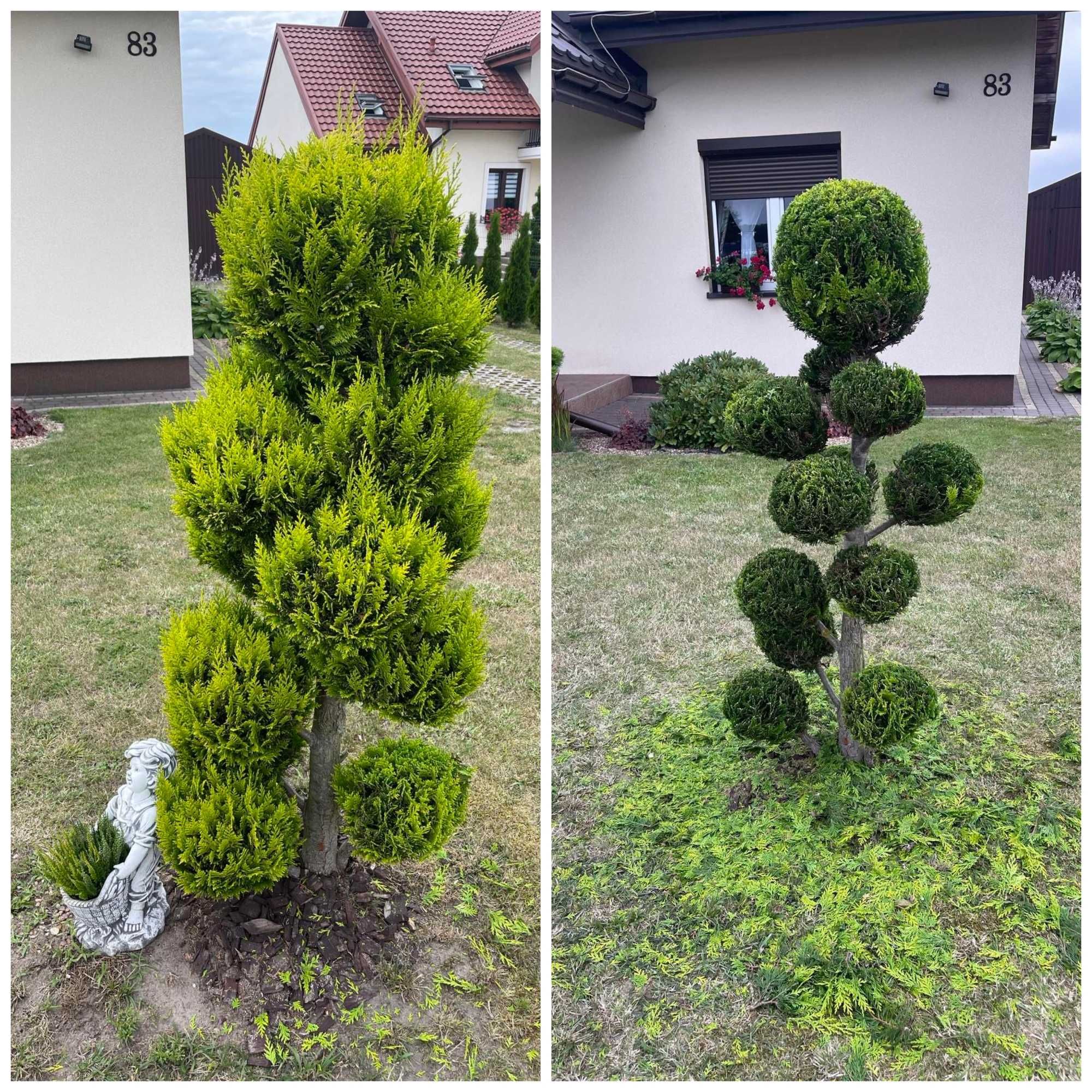 Koszenie trawy, duże i małe powierzchnie. Pielęgnacja drzew i krzewów.