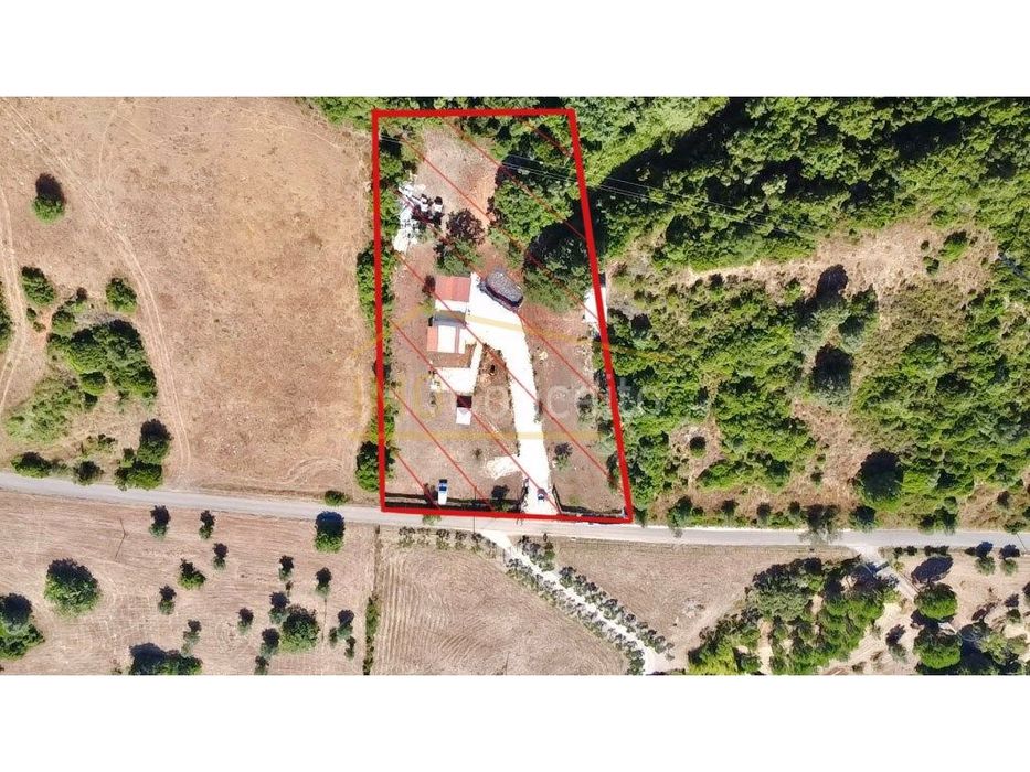 Terreno Rústico || Almoster || Santarém