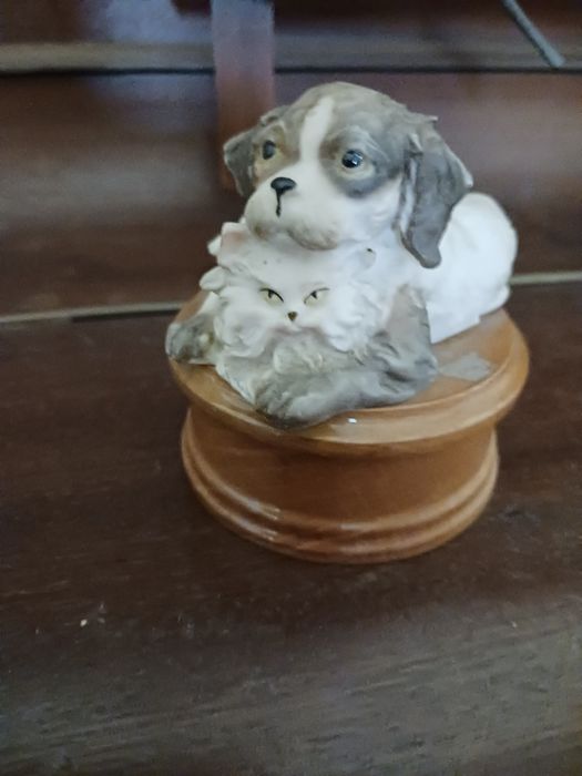 Um excelente  cão