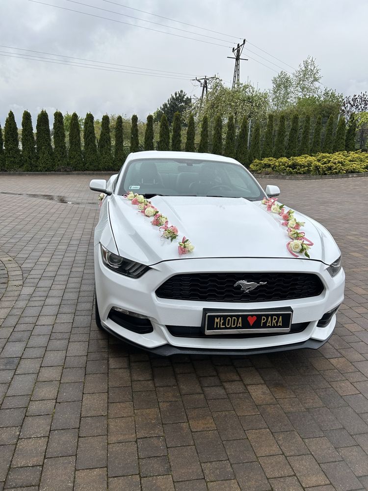 Mustang do ślubu