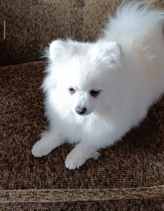 Підрощена дівуля