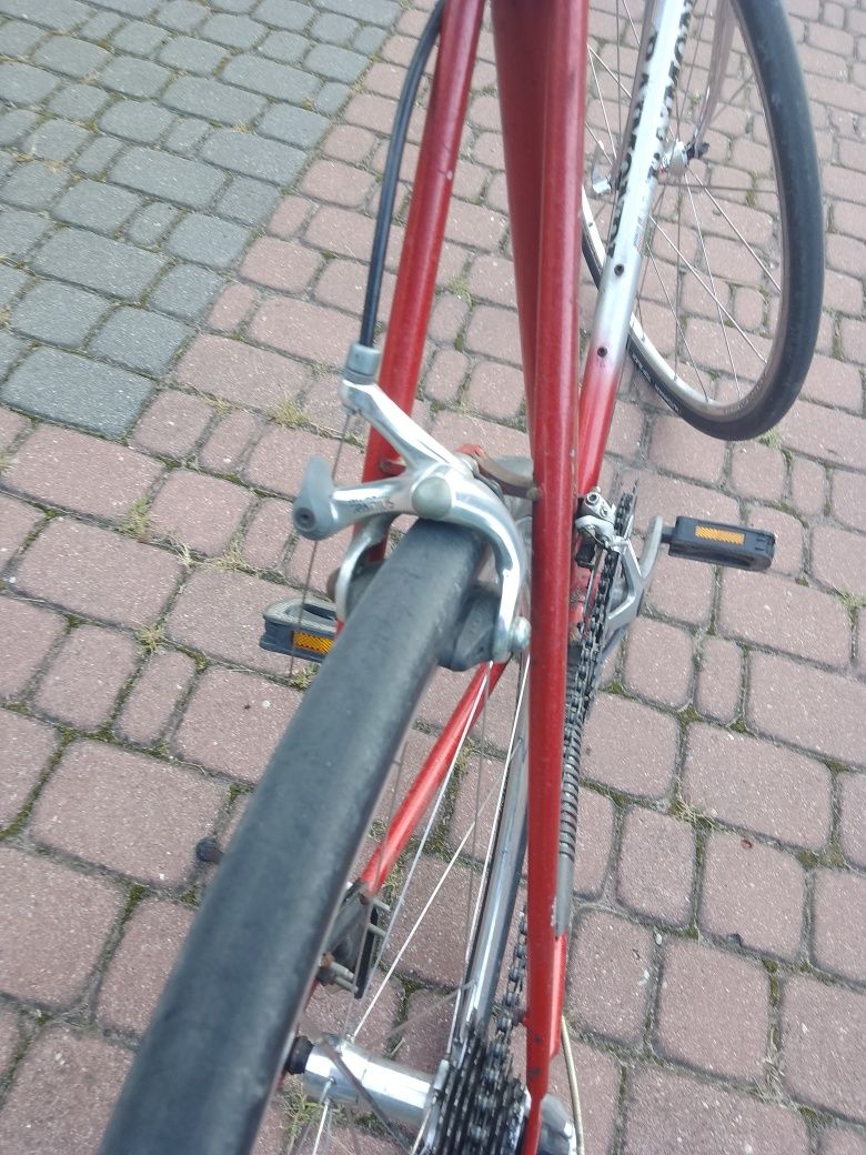 Retro kolarka Raimondi