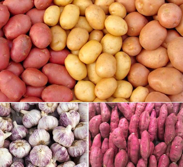 CABAZ - 0.5kg Alhos + 4kg Cebola + 20kg Batatas c/entrega