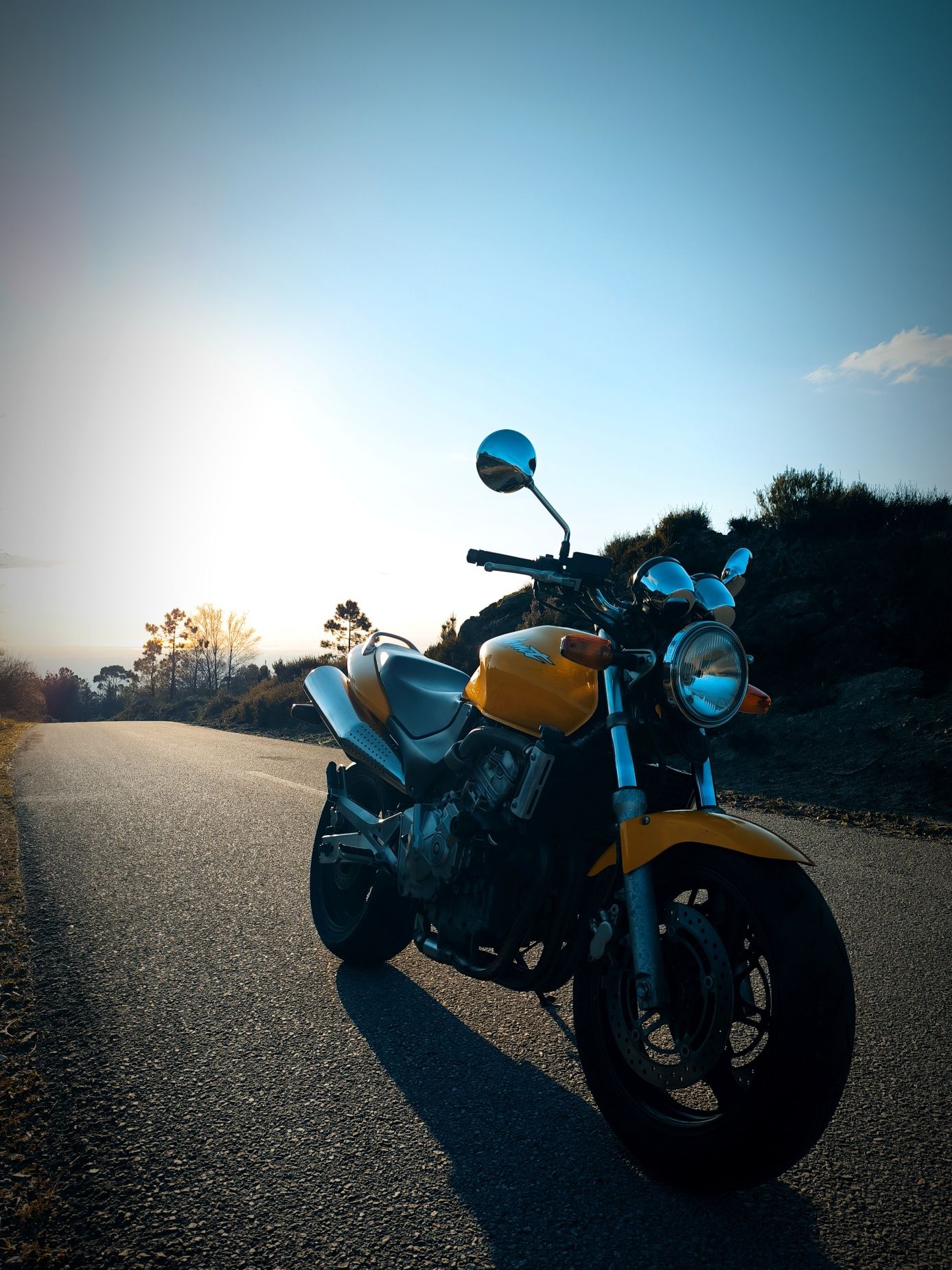 Honda Hornet 600 (PC34)