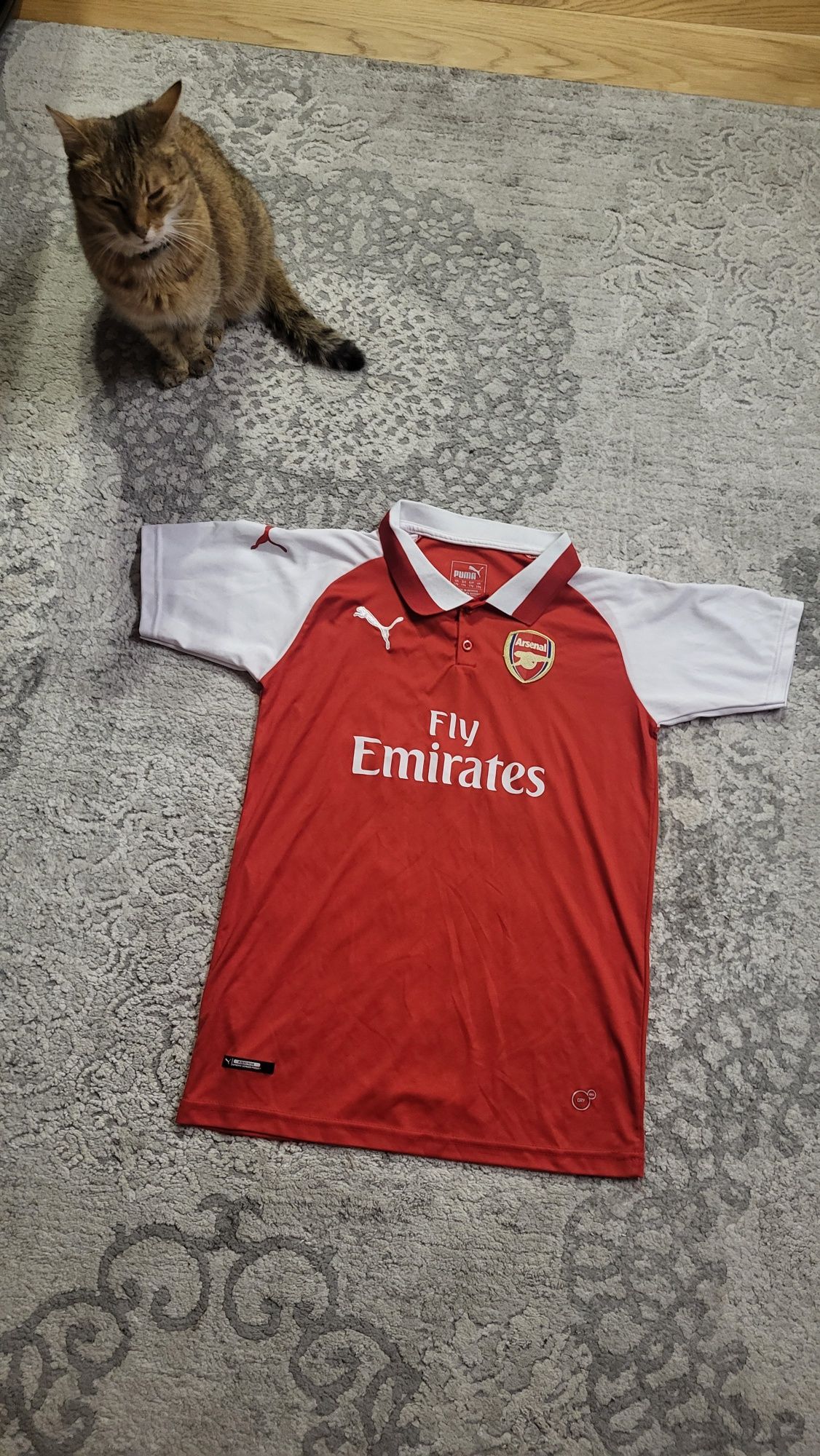 Koszulka piłkarska Arsenal Walcott S