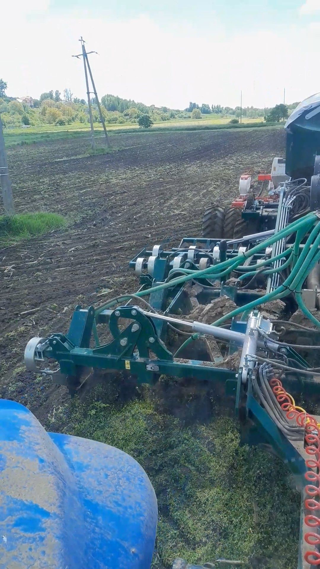 Siew Pasowy rzepaku, Strip Till, TYGRYS Vaderstad Tempo.