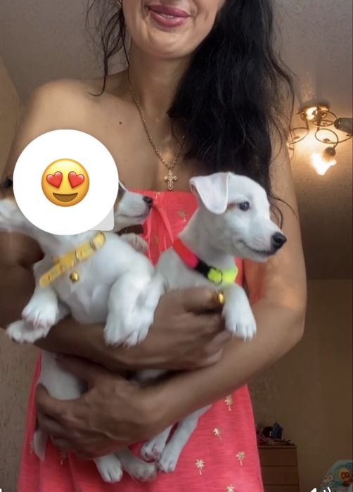 Красивая малышка ищет маму