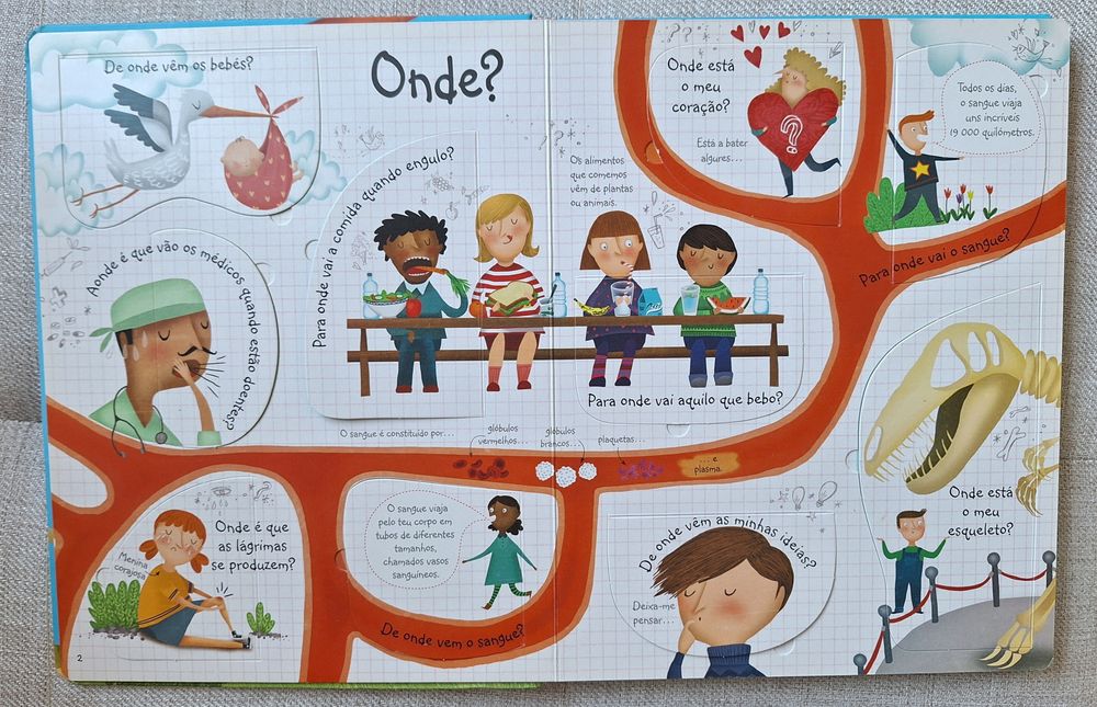 Perguntas e Respostas sobre o corpo