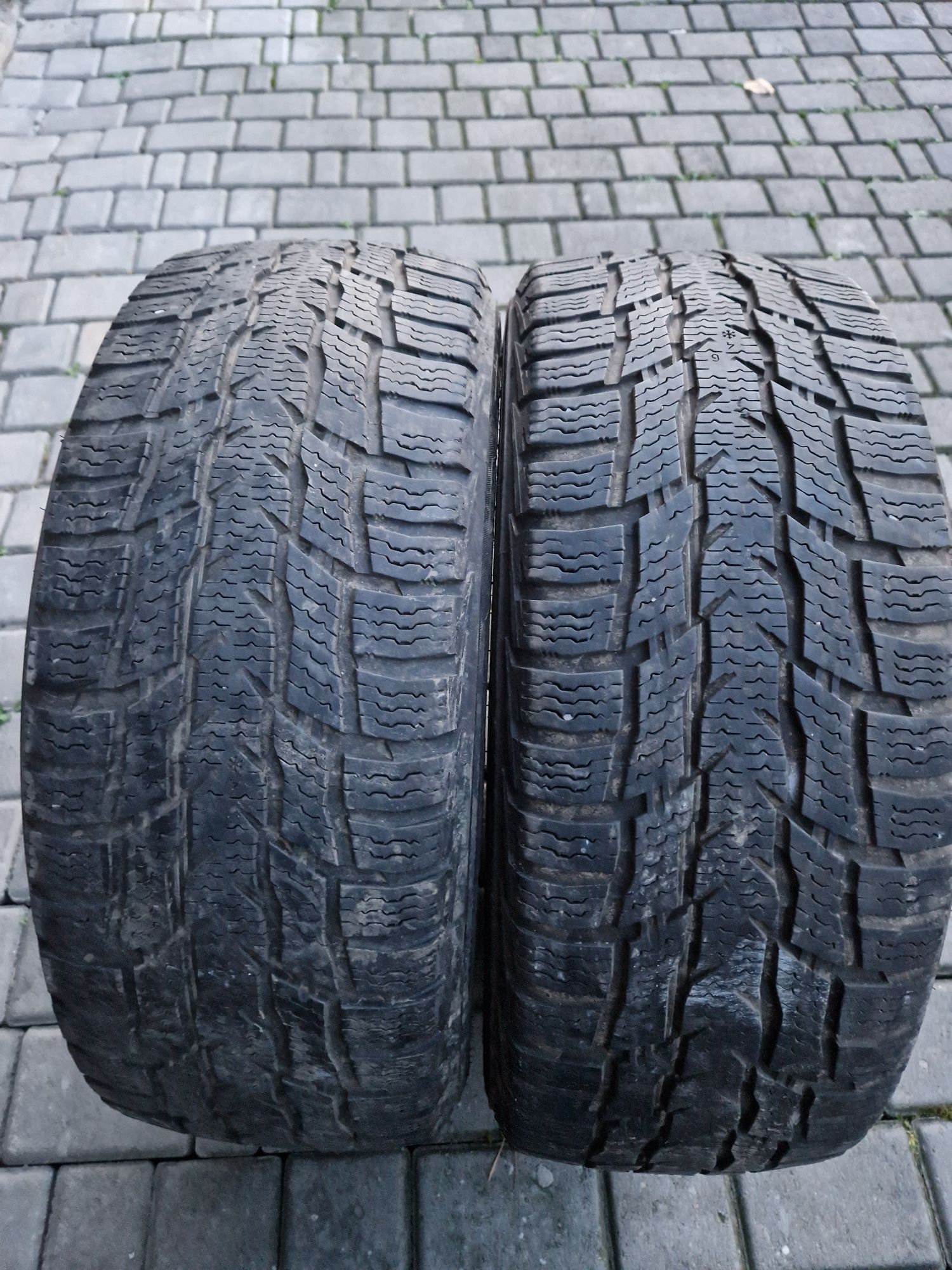 Все сезонні  шини NOKIAN WR C3 225/55/17C