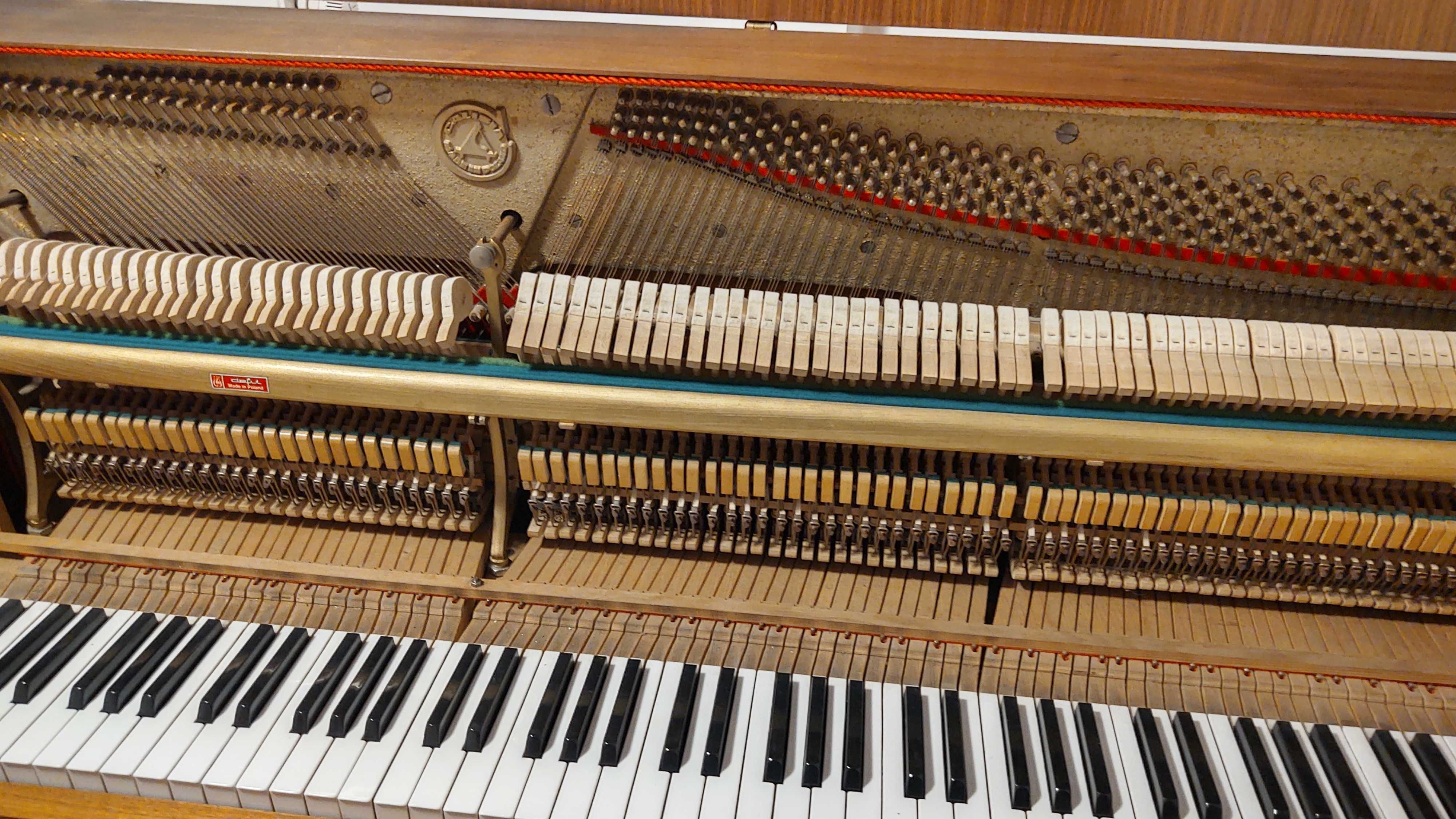 Pianino Calisia od stroiciela