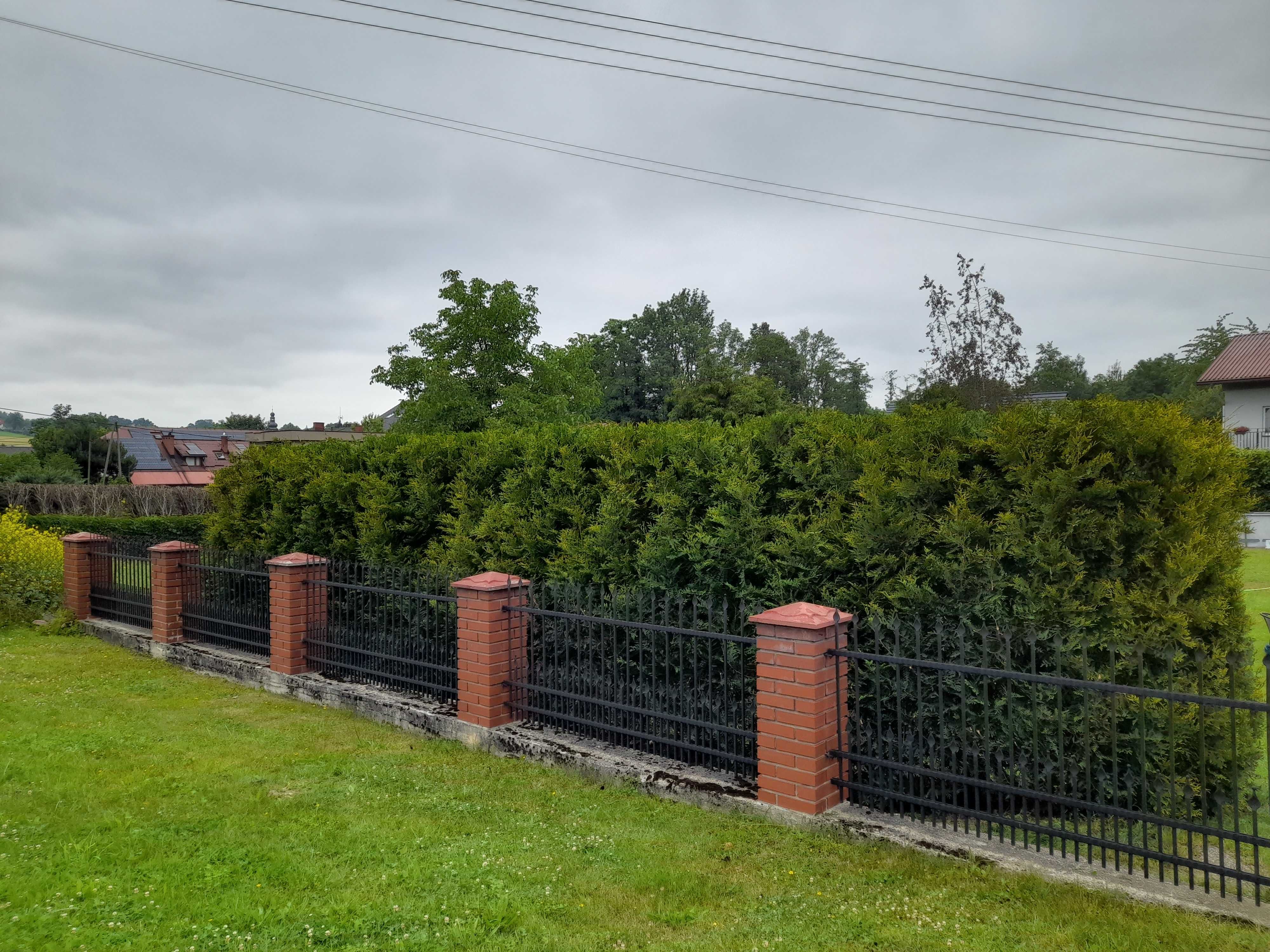 Pielęgnacja ogrodów i zieleni. Koszenie trawy, cięcia drzew i krzewów