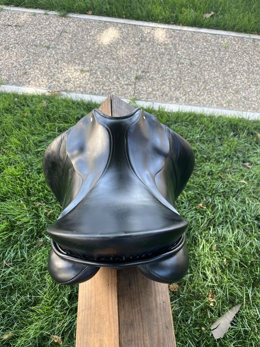 Arreio ensino Passier corona