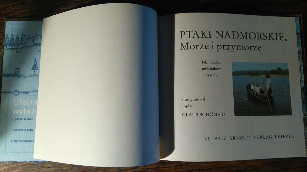 Ptaki Nadmorskie Morze i Przymorze